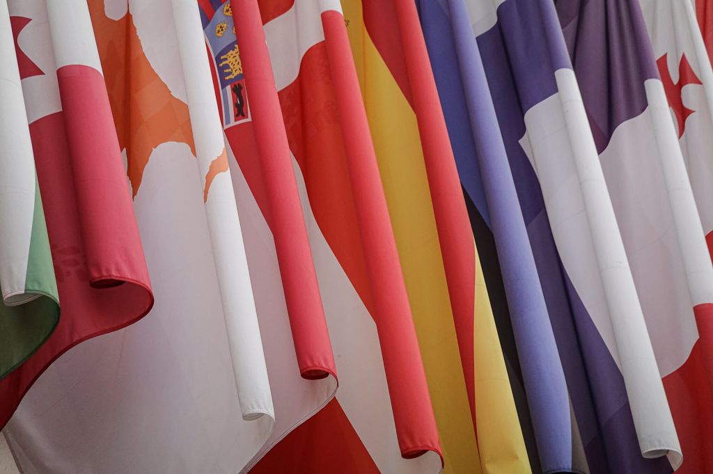 Flags of European Union Member States displayed together, symbolising EU cooperation and the policies shaping reforms across Europe.
Photo credit: Magda Ehler